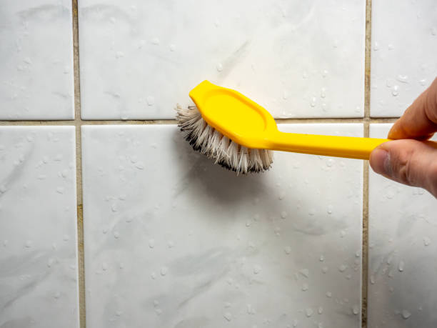 Best Industrial Mold Remediation in Thornville, OH