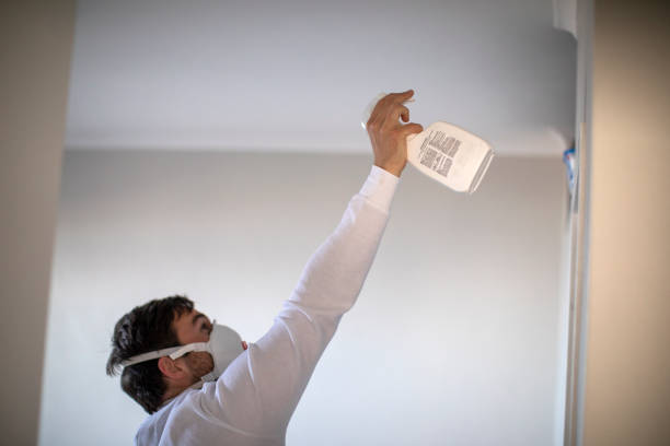 Best Residential Mold Remediation in Thornville, OH