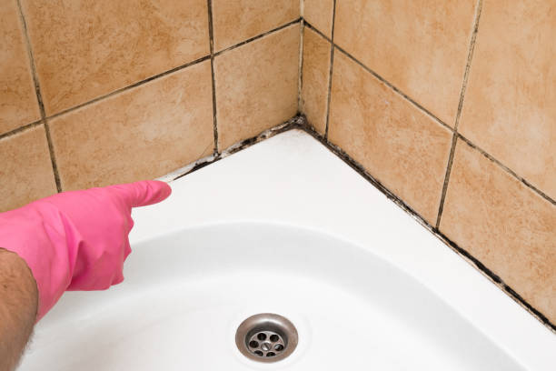 Best Mold Testing and Inspection Services in Thornville, OH